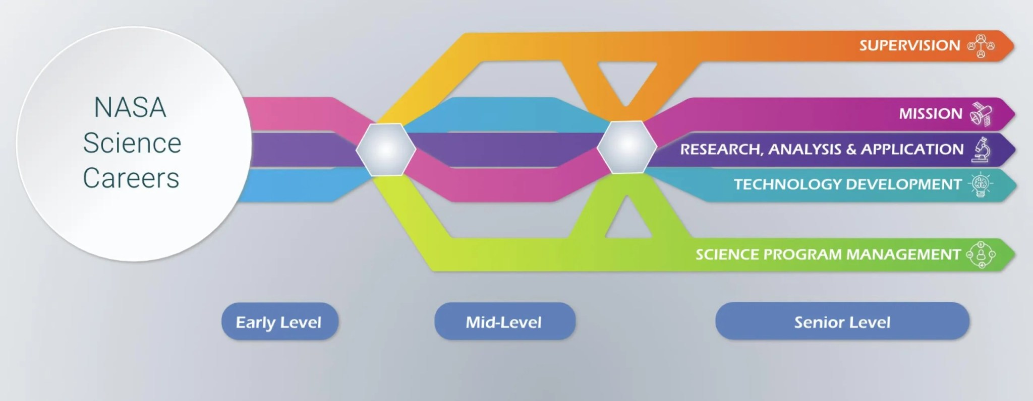 Screenshot of Career Path Tool website